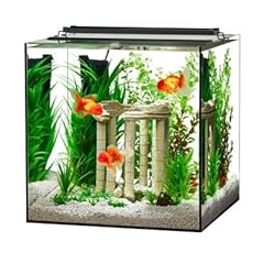 Frameless cube aquarium for sale  Delivered anywhere in USA 