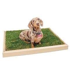 Real grass dog for sale  Delivered anywhere in UK