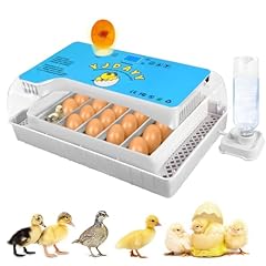 Incubators hatching eggs for sale  Delivered anywhere in USA 
