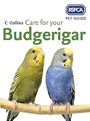 Care budgerigar for sale  Delivered anywhere in UK