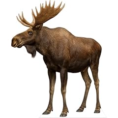 Boutique moose 3ft for sale  Delivered anywhere in USA 