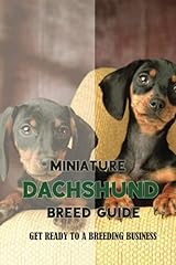 Miniature dachshund breed for sale  Delivered anywhere in USA 