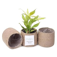 Eco living jute for sale  Delivered anywhere in USA 