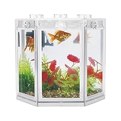 Aquarium petit 11 d'occasion  Livré partout en Belgiqu