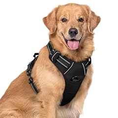 Rabbitgoo dog harness for sale  Delivered anywhere in USA 