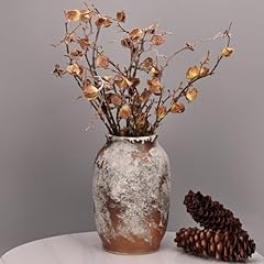 Grand vase ferme d'occasion  Livré partout en France