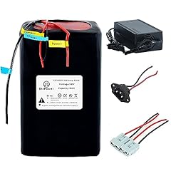 Btrpower ebike battery for sale  Delivered anywhere in USA 