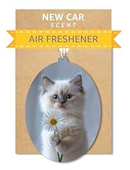 Catneverland ragdoll kitten for sale  Delivered anywhere in USA 