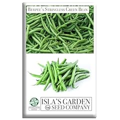 Burpee stringless green for sale  Delivered anywhere in USA 