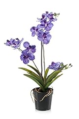 Artplants.de orchidea vanda usato  Spedito ovunque in Italia 