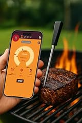 Scaleson s410 termometro usato  Spedito ovunque in Italia 