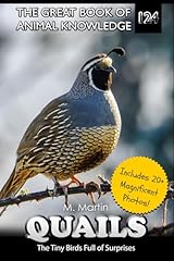 Quail tiny birds for sale  Delivered anywhere in USA 