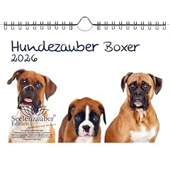 Cani magia boxer usato  Spedito ovunque in Italia 