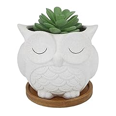 Gemseek cute owl for sale  Delivered anywhere in USA 