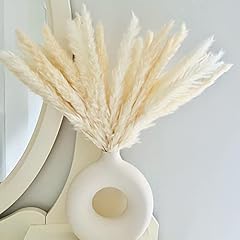 White pampas grass for sale  Delivered anywhere in UK