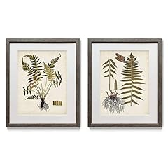 Renditions gallery fern for sale  Delivered anywhere in USA 