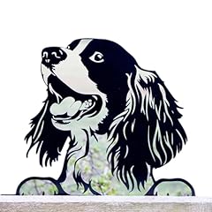 Peeking cocker spaniel for sale  Delivered anywhere in UK