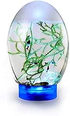 Outs ecosphere closed for sale  Delivered anywhere in UK