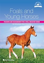 Foals young horses for sale  Delivered anywhere in USA 