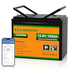 Eco worthy lifepo4 usato  Spedito ovunque in Italia 