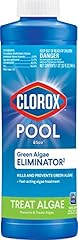 Clorox pool spa for sale  Delivered anywhere in USA 