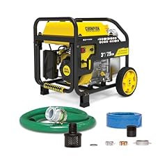 Champion power equipment for sale  Delivered anywhere in USA 