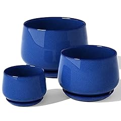 Tauci plant pots for sale  Delivered anywhere in USA 