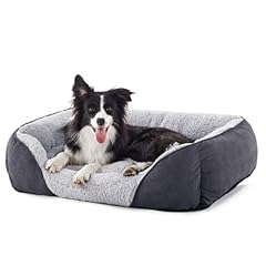 Joejoy dog cat for sale  Delivered anywhere in UK