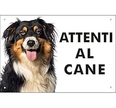 Pubblimania australian shepher usato  Spedito ovunque in Italia 