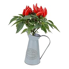 Pretyzoom metal pitcher for sale  Delivered anywhere in USA 