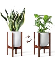 Bamworld support plantes d'occasion  Livré partout en France