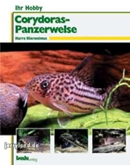 Corydoras d'occasion  Livré partout en France