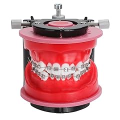 Faruijie orthodontic typodonts for sale  Delivered anywhere in USA 