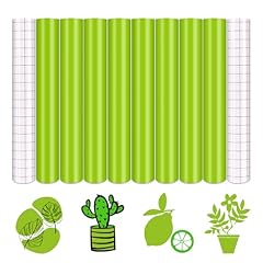 Tintnut green permanent for sale  Delivered anywhere in USA 