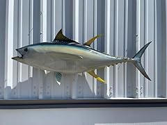 Yellowfin tuna full for sale  Delivered anywhere in USA 