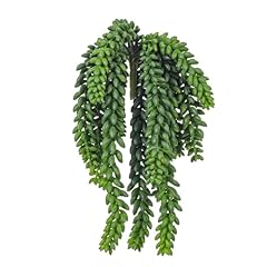 Vickerman plastic artificial for sale  Delivered anywhere in USA 