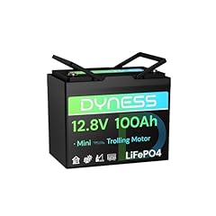 Dyness batteria lifepo4 usato  Spedito ovunque in Italia 