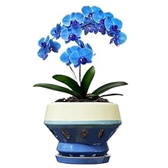 Gepege 6.5 inch for sale  Delivered anywhere in USA 