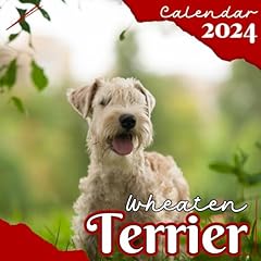 Wheaten terrier calendar for sale  Delivered anywhere in UK