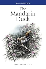 Mandarin duck for sale  Delivered anywhere in UK
