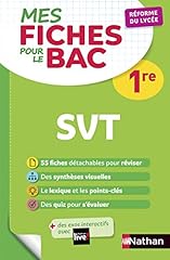 Fiches abc bac d'occasion  Livré partout en Belgiqu