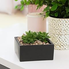 Wgv block ceramic for sale  Delivered anywhere in USA 