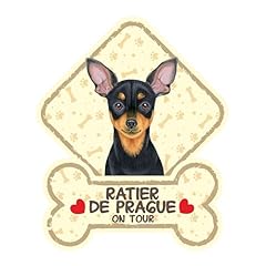Power gift ratier d'occasion  Livré partout en Belgiqu