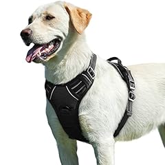 Eagloo pettorina cane usato  Spedito ovunque in Italia 
