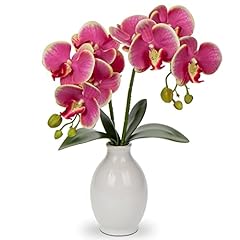 Briful pink orchids for sale  Delivered anywhere in USA 