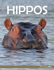 Hippos cool pictures for sale  Delivered anywhere in UK