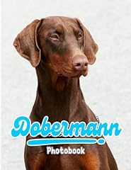 Dobermann photography book for sale  Delivered anywhere in UK