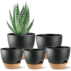 Sun vaso per usato  Spedito ovunque in Italia 