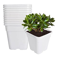 Ysmn pcs plastic for sale  Delivered anywhere in USA 