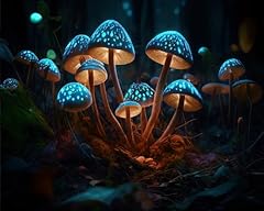 Mysterious mystic mushroom for sale  Delivered anywhere in USA 